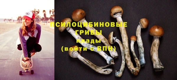 спиды Балабаново