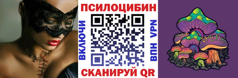 дарнет шоп  Гаврилов Посад  Псилоцибиновые грибы Magic Shrooms 